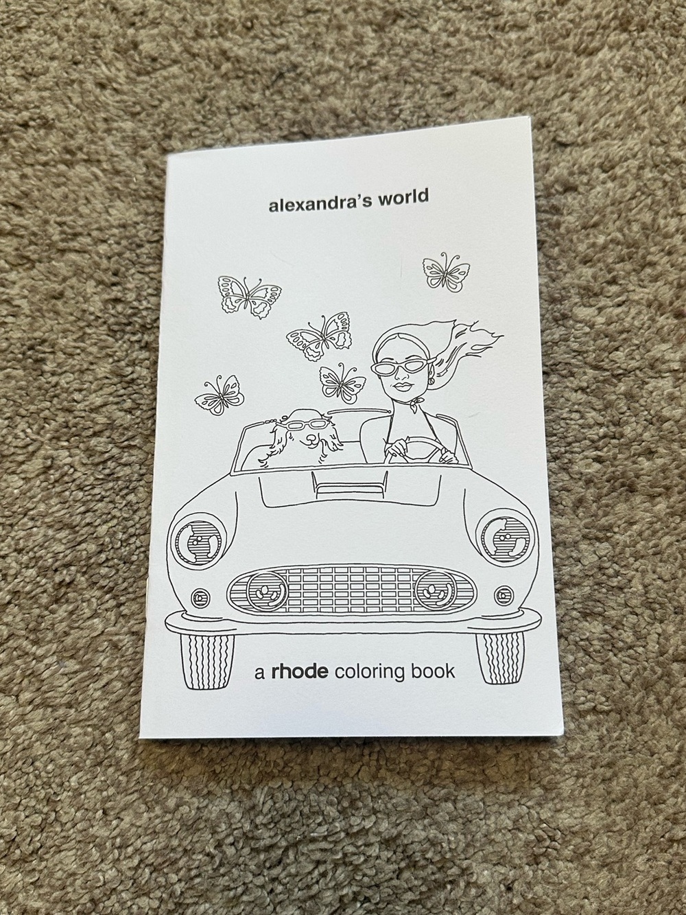 alexandra's world rhode coloring book